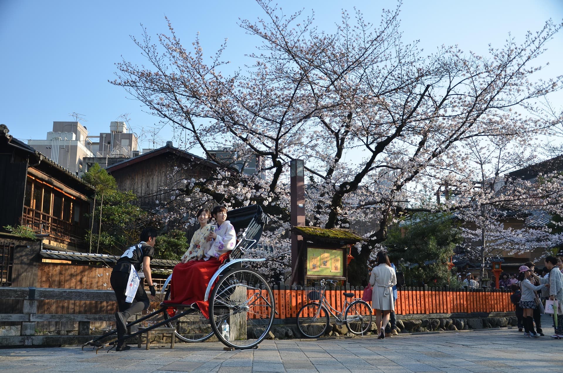 Private Cherry Blossom Tours