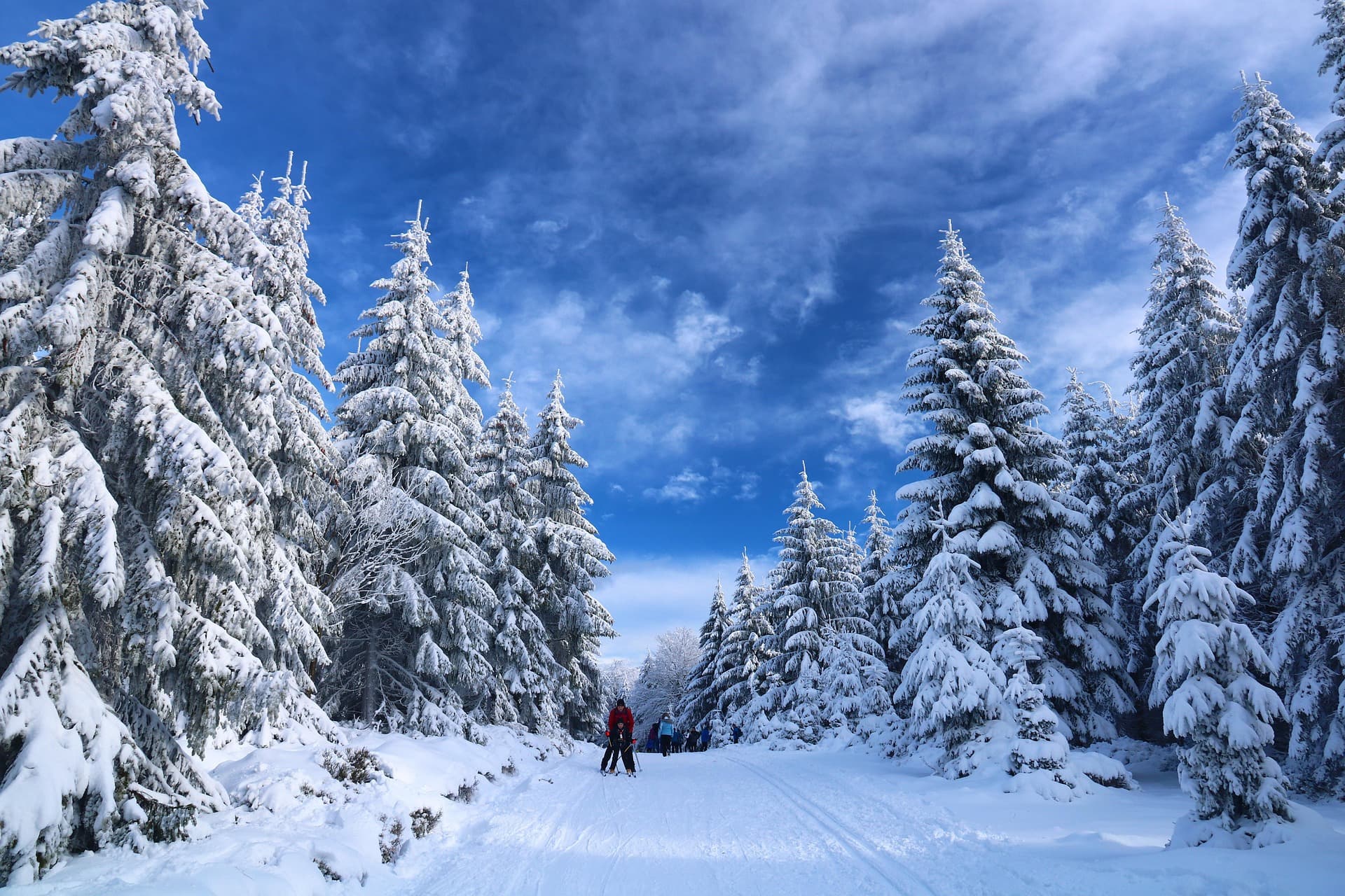 Unlimited Ski Paradise